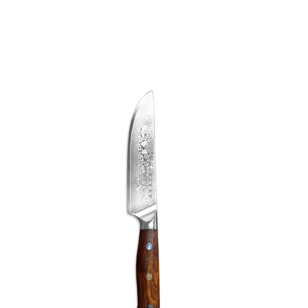 STEAKKNIV